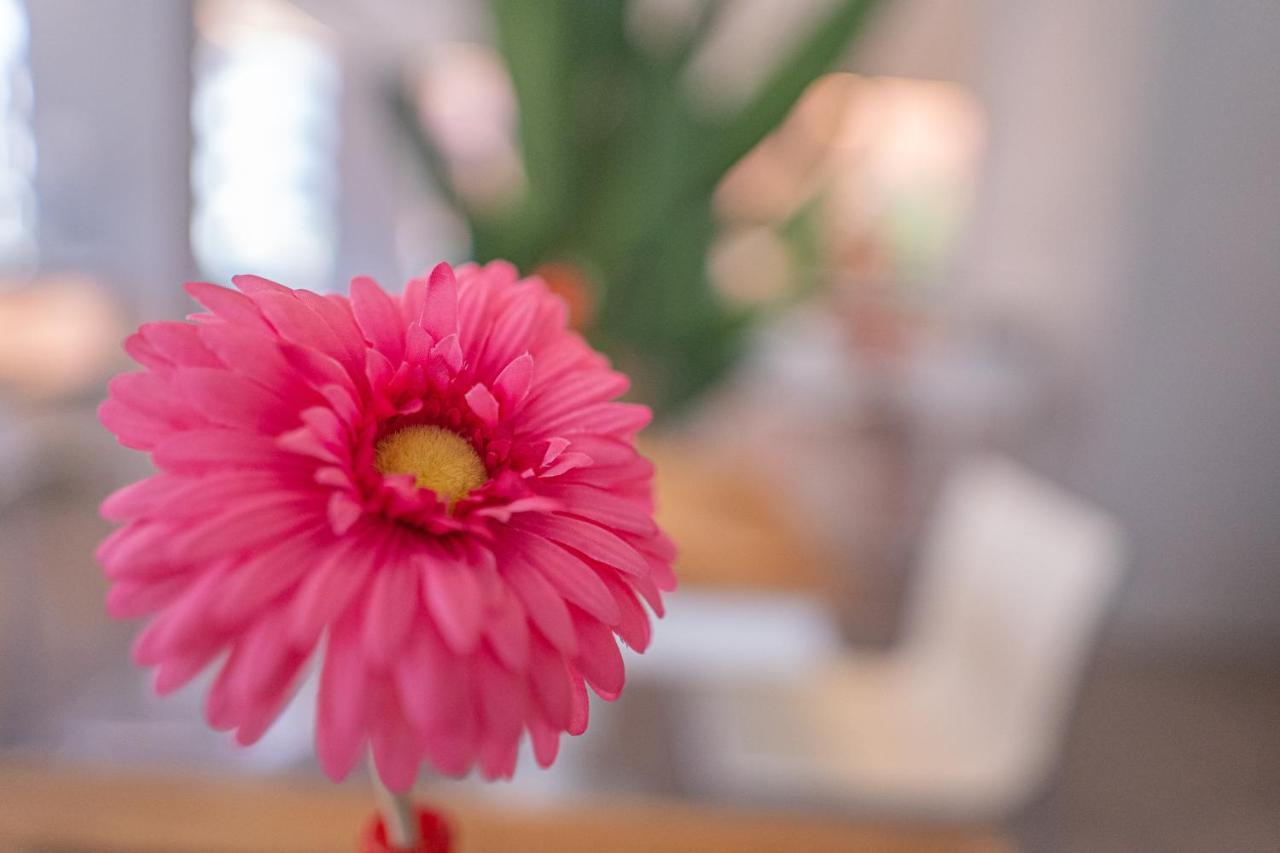 Design Hotel Astra B&B Misano Adriatico Zewnętrze zdjęcie